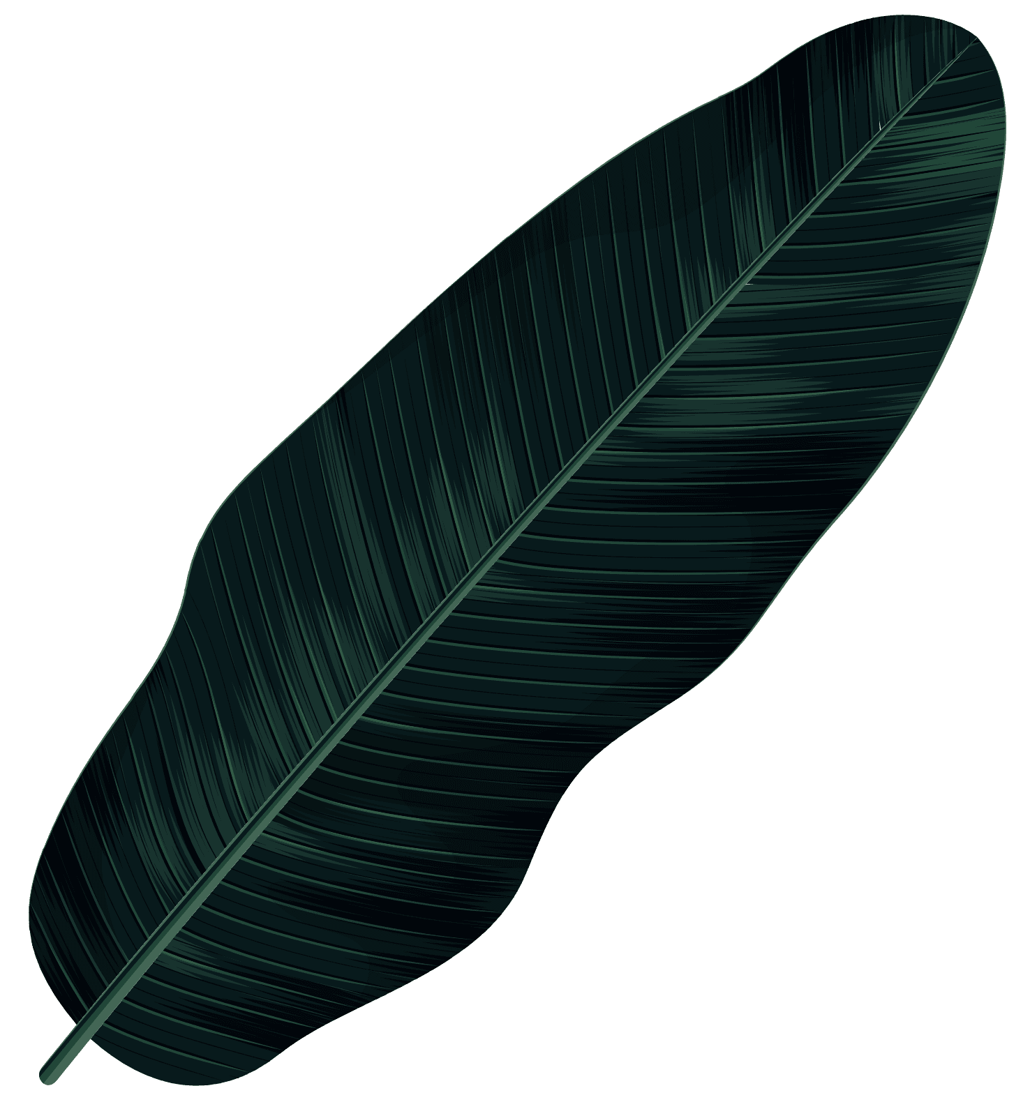 Leaf